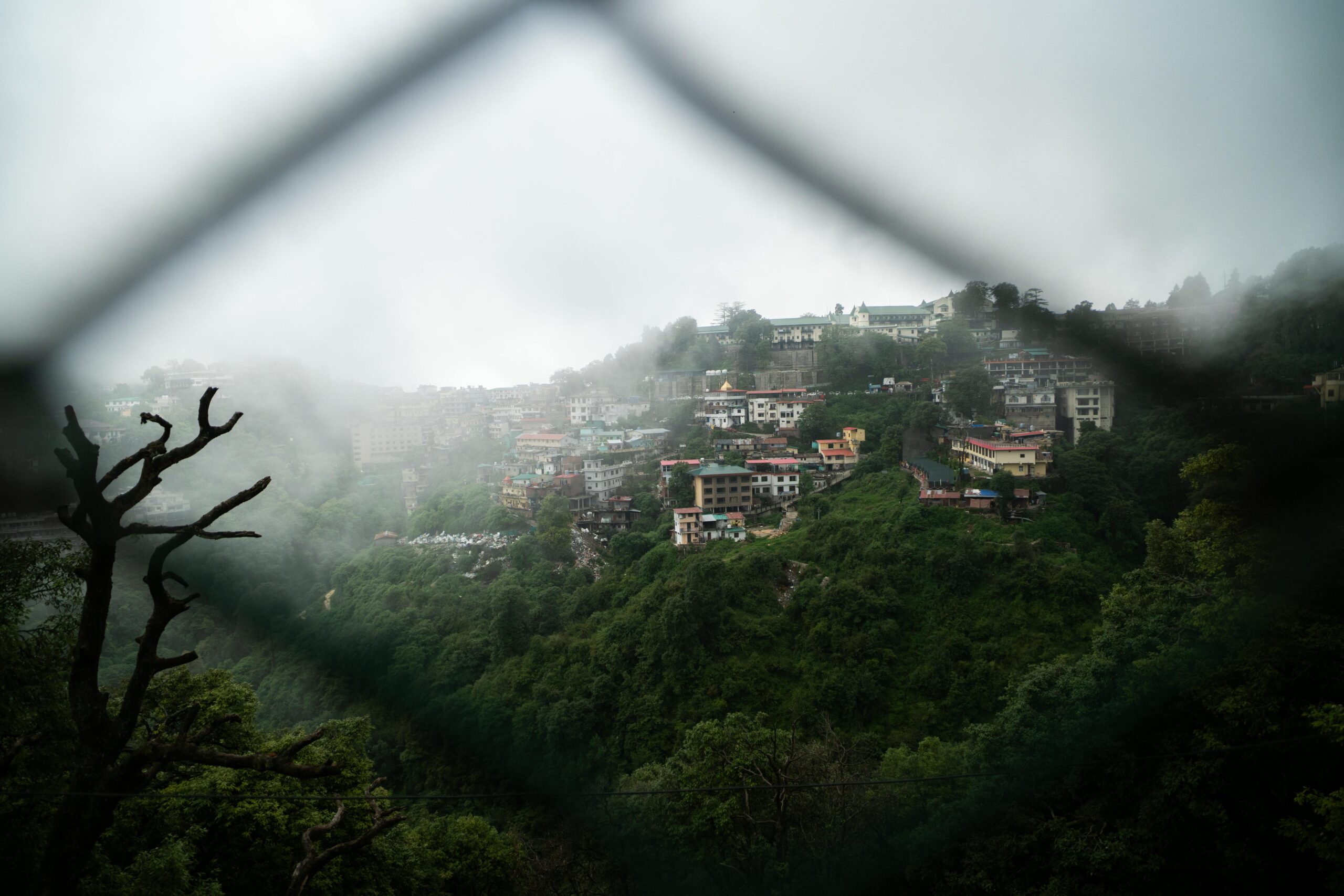 Misty view of Mussoorie's hillside houses and lush greenery on a rainy day.